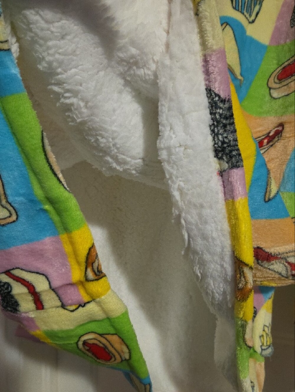 Plush Sherpa-Lined Kids Hoodie in Multi Color - Unbranded - Picture 6 of 11